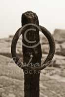 Alphabet Photography Letter O                                          