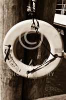 Alphabet Photography Letter O                                          