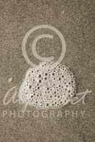 Alphabet Photography Letter O                                          