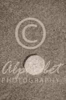 Alphabet Photography Letter O                                          