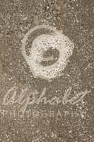 Alphabet Photography Letter O                                          