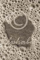 Alphabet Photography Letter O                                          