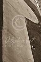 Alphabet Photography Letter P                                          
