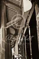 Alphabet Photography Letter P                                          