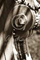 Alphabet Photography Letter P                                          