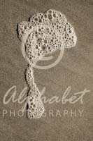 Alphabet Photography Letter P                                          