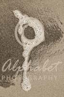 Alphabet Photography Letter P                                          