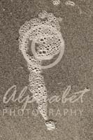 Alphabet Photography Letter P                                          