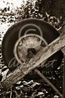 Alphabet Photography Letter Q                                          