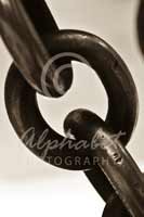 Alphabet Photography Letter Q                                          