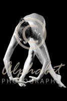 Alphabet Photography Letter Q                                          