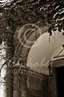 Alphabet Photography Letter R                                          