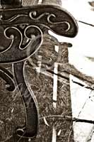 Alphabet Photography Letter R                                          