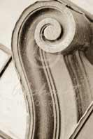 Alphabet Photography Letter R                                          