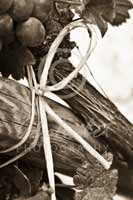 Alphabet Photography Letter R                                          