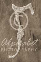 Alphabet Photography Letter R                                          