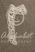 Alphabet Photography Letter R                                          