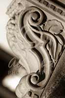 Alphabet Photography Letter S                                          