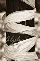 Alphabet Photography Letter S                                          