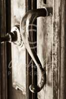 Alphabet Photography Letter S                                          