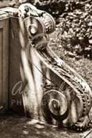 Alphabet Photography Letter S                                          