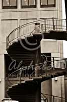 Alphabet Photography Letter S                                          