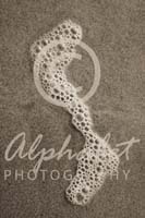 Alphabet Photography Letter S                                          