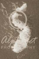 Alphabet Photography Letter S                                          