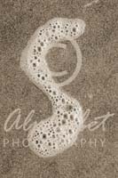 Alphabet Photography Letter S                                          