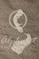 Alphabet Photography Letter S                                          