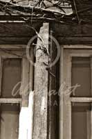 Alphabet Photography Letter T                                          