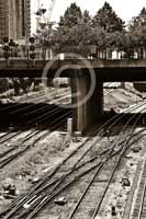 Alphabet Photography Letter T                                          