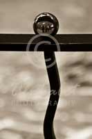 Alphabet Photography Letter T                                          