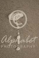 Alphabet Photography Letter T                                          
