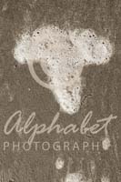 Alphabet Photography Letter T                                          