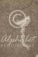 Alphabet Photography Letter T                                          