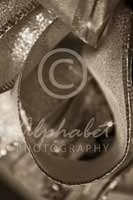 Alphabet Photography Letter U                                          