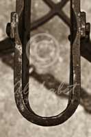 Alphabet Photography Letter U                                          