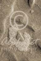 Alphabet Photography Letter U                                          