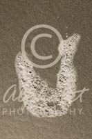 Alphabet Photography Letter U                                          