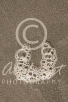 Alphabet Photography Letter U                                          
