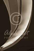 Alphabet Photography Letter V                                          