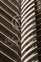 Alphabet Photography Letter V                                          