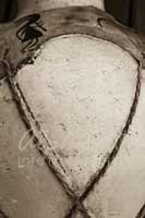Alphabet Photography Letter V                                          