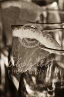 Alphabet Photography Letter V                                          