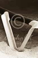Alphabet Photography Letter V                                          
