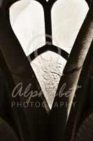 Alphabet Photography Letter V                                          
