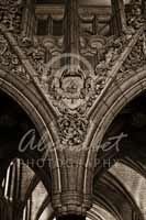 Alphabet Photography Letter V                                          