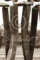 Alphabet Photography Letter W                                          