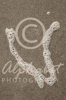 Alphabet Photography Letter W                                          